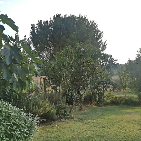 Villa Il Saragio à Abbadia di Montepulciano Extérieur photo