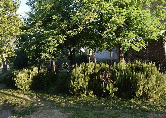 Il Saragio