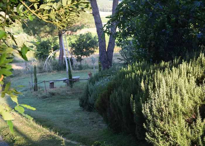 Il Saragio