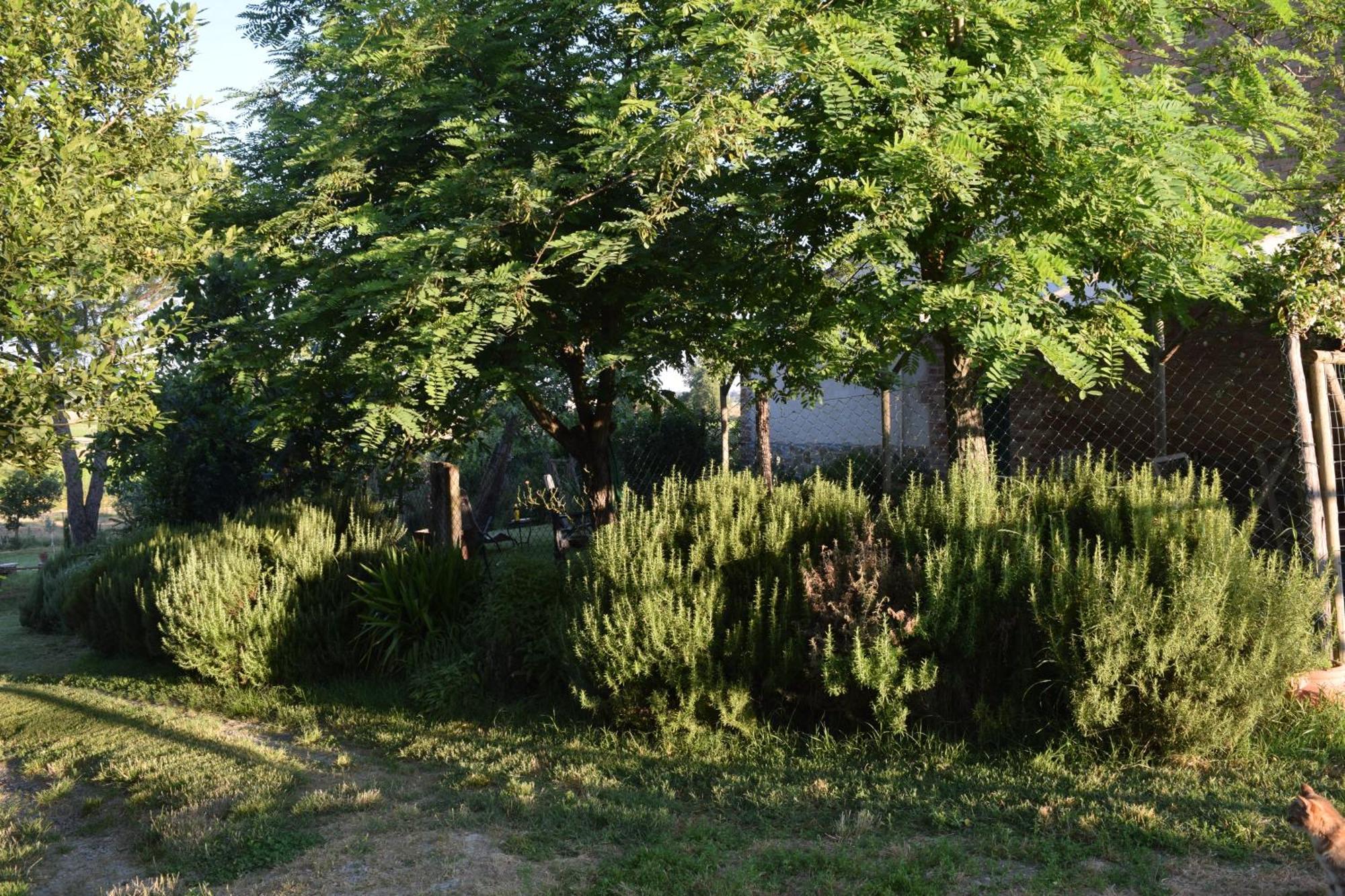 Holiday home Il Saragio