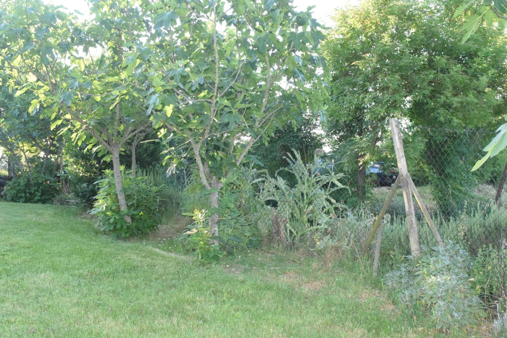 Il Saragio Holiday home Abbadia di Montepulciano