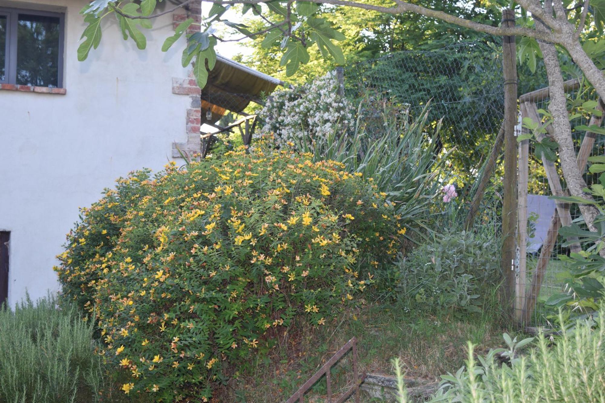 Ferienhaus Il Saragio