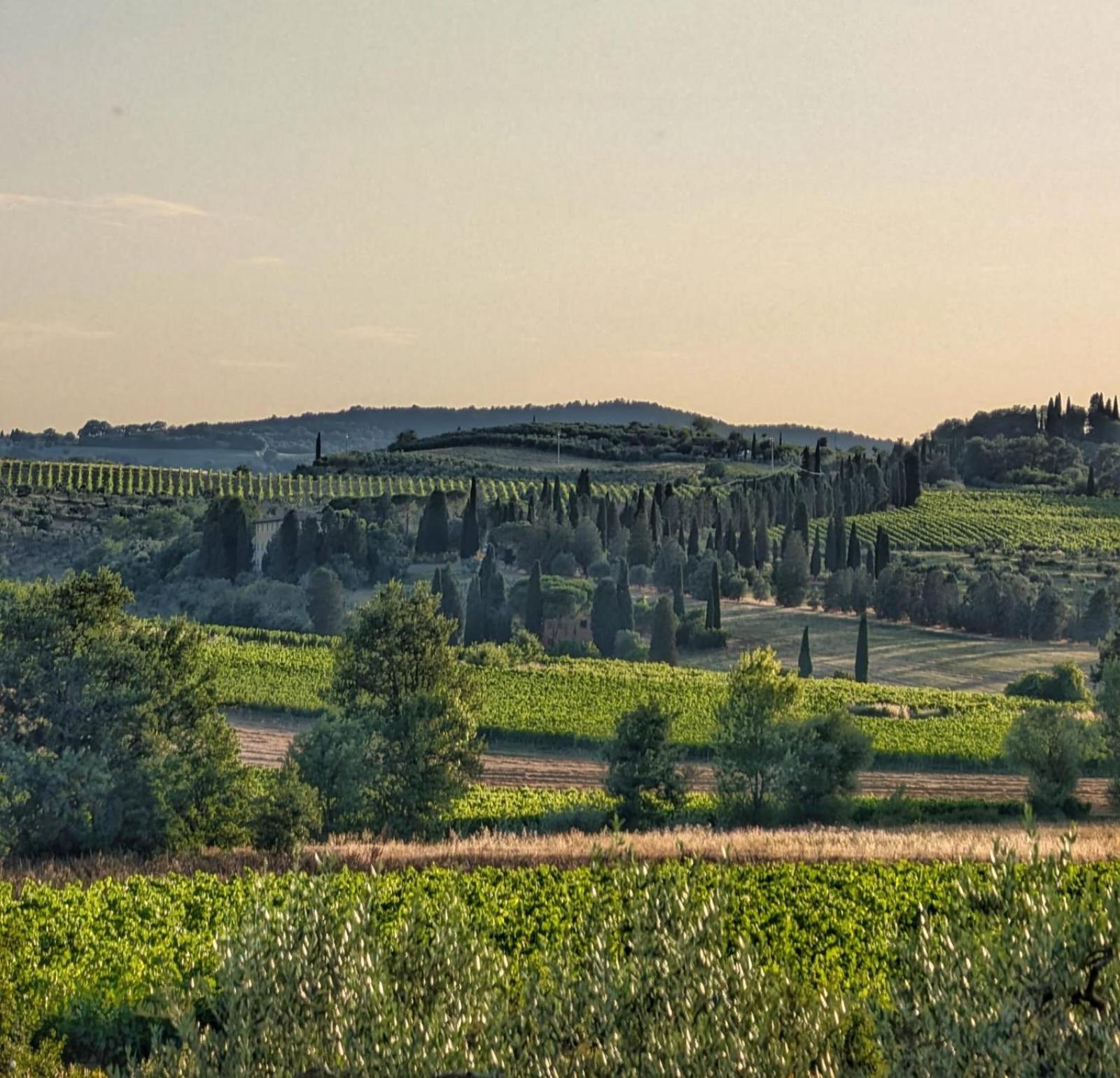 Il Saragio Holiday home