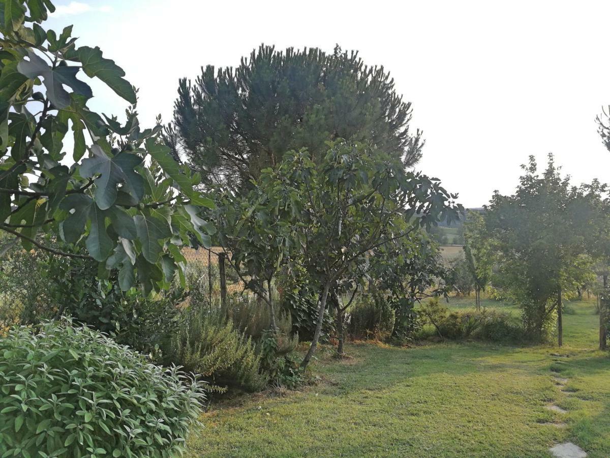 Il Saragio Abbadia di Montepulciano